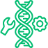 Cellular Optimization