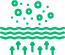 Cellular uptake