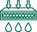 cellular uptake
