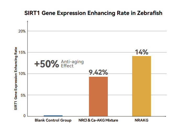 Enhancement of SIRT1 Gene Expression in Zebrafish